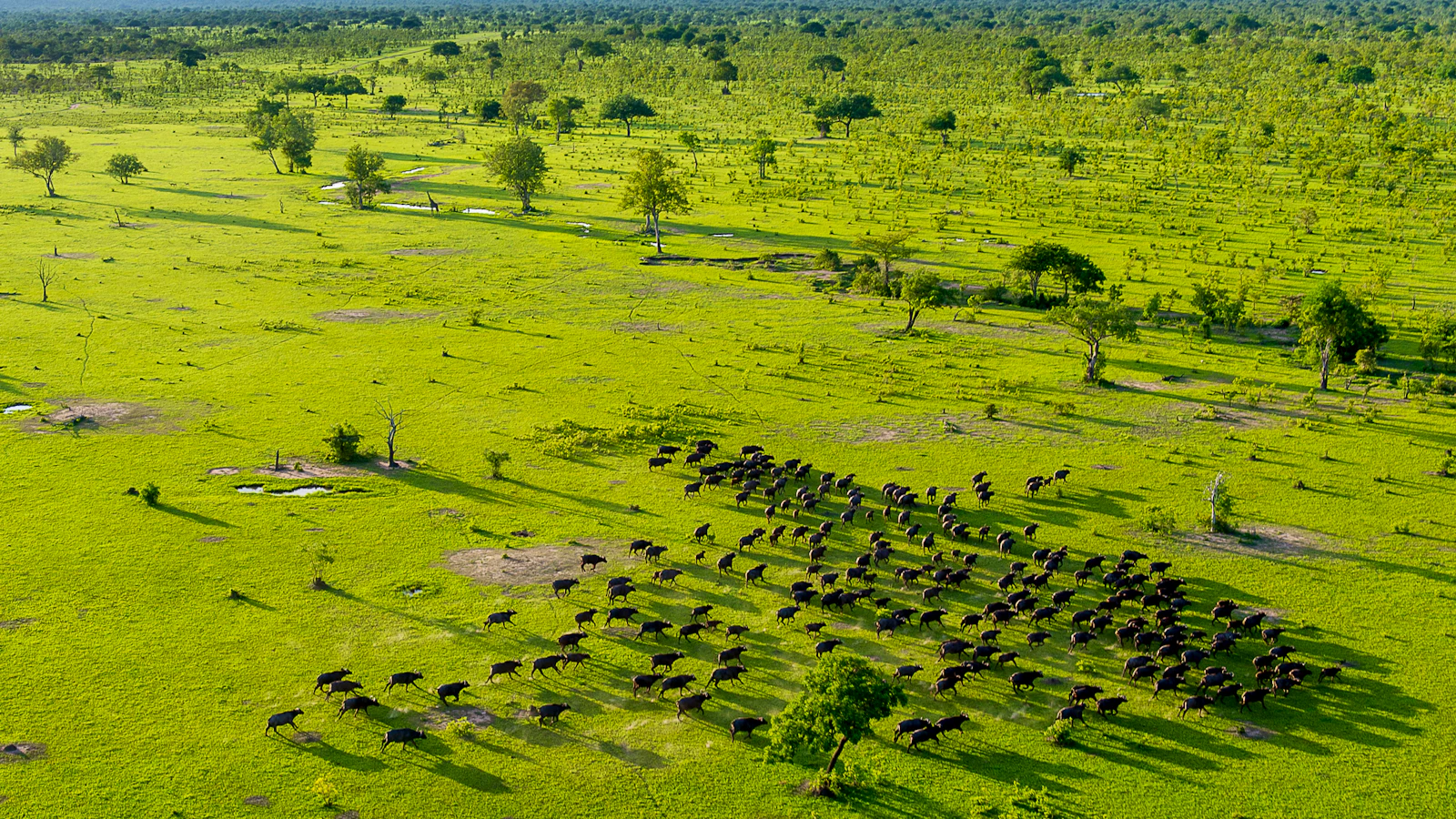 Open wilderness in southern Tanzania