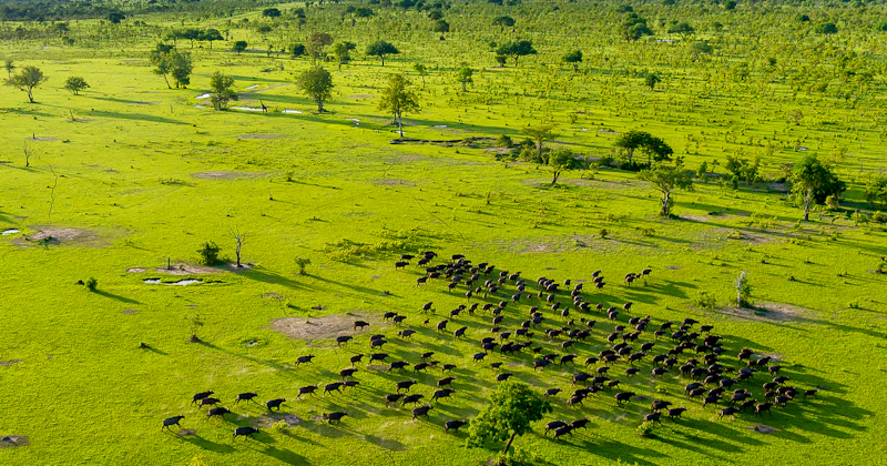 Southern Tanzania and Zanzibar