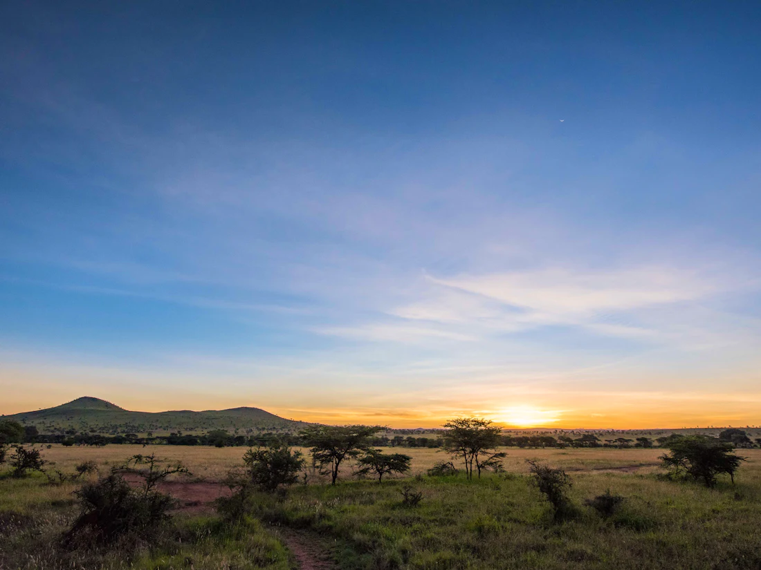 Ronjo Camp, Central Serengeti