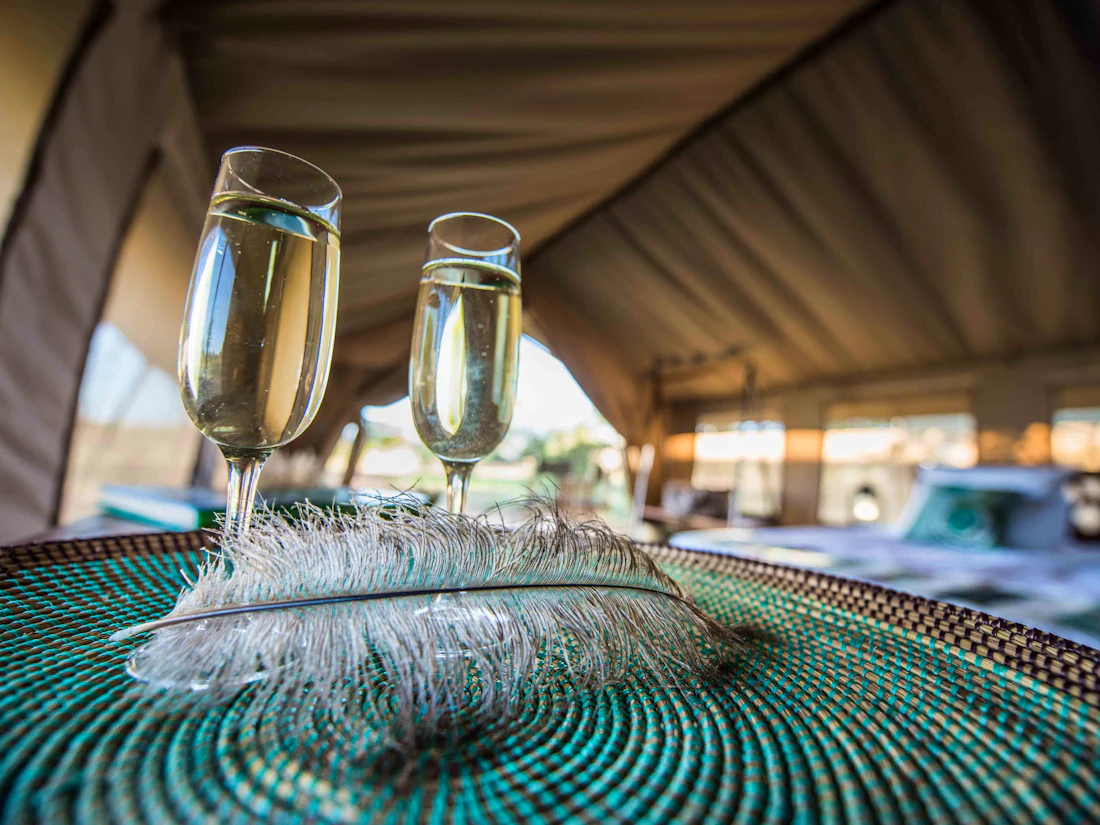 Ronjo Camp, Central Serengeti