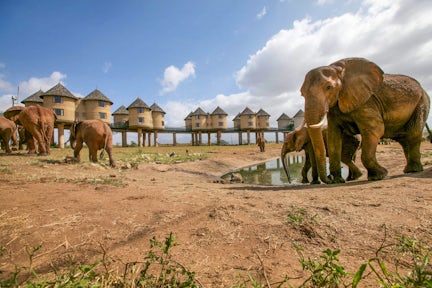 Salt Lick Safari Lodge