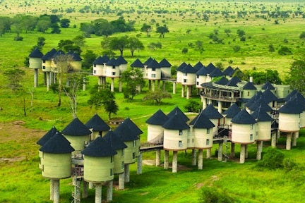 Salt Lick Safari Lodge