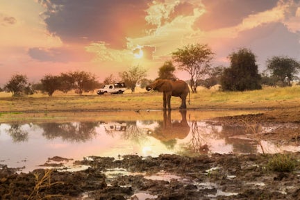 Salt Lick Safari Lodge