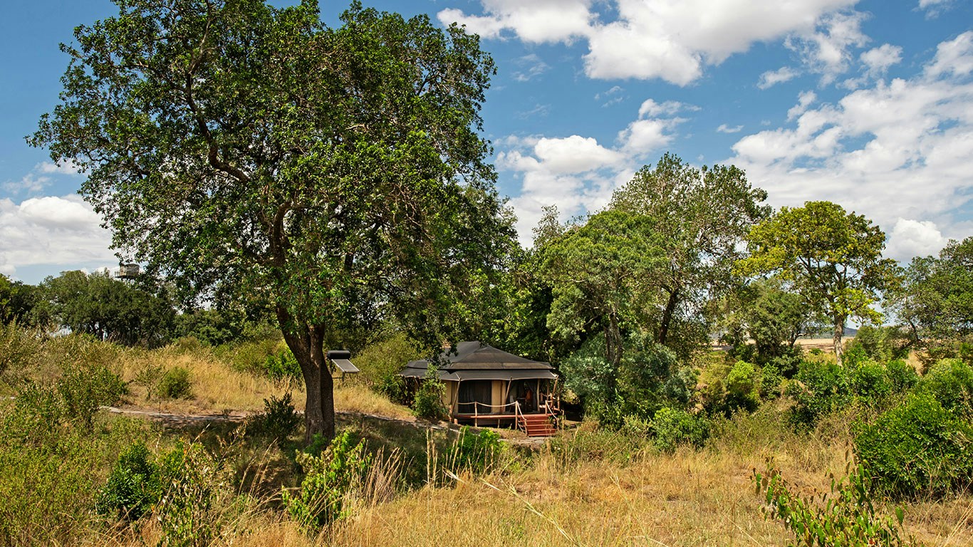Guest tent beneath trees in the bush at Sand River Mara