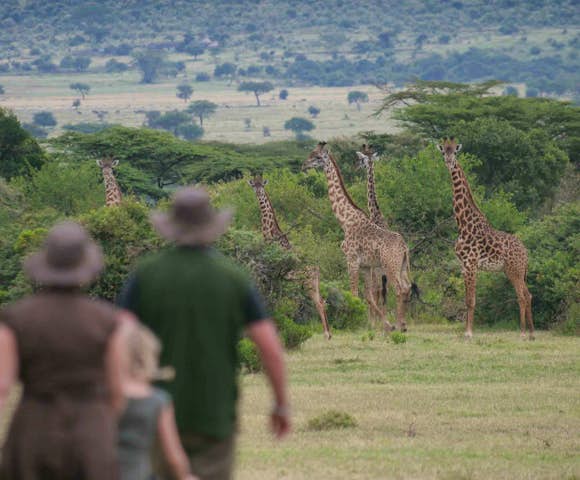 Saruni Mara Lodge
