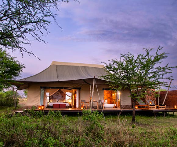 Camps & Lodges in Tanzania