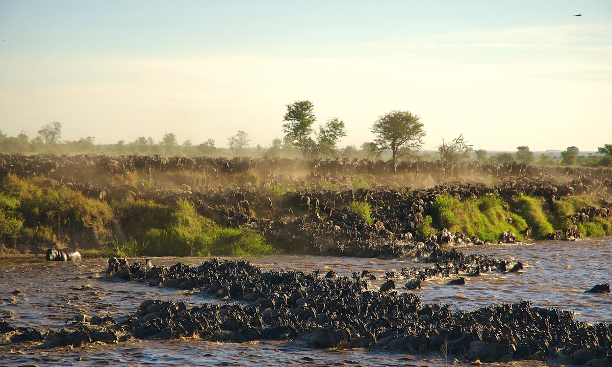 The open plains of the Serengeti during the Great Migration season