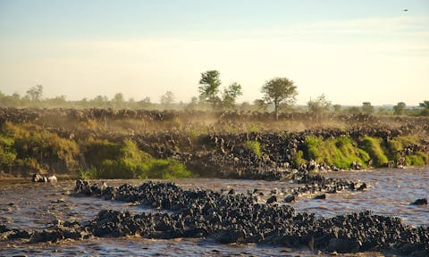 The Great Migration