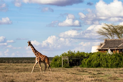 Segera Lodge