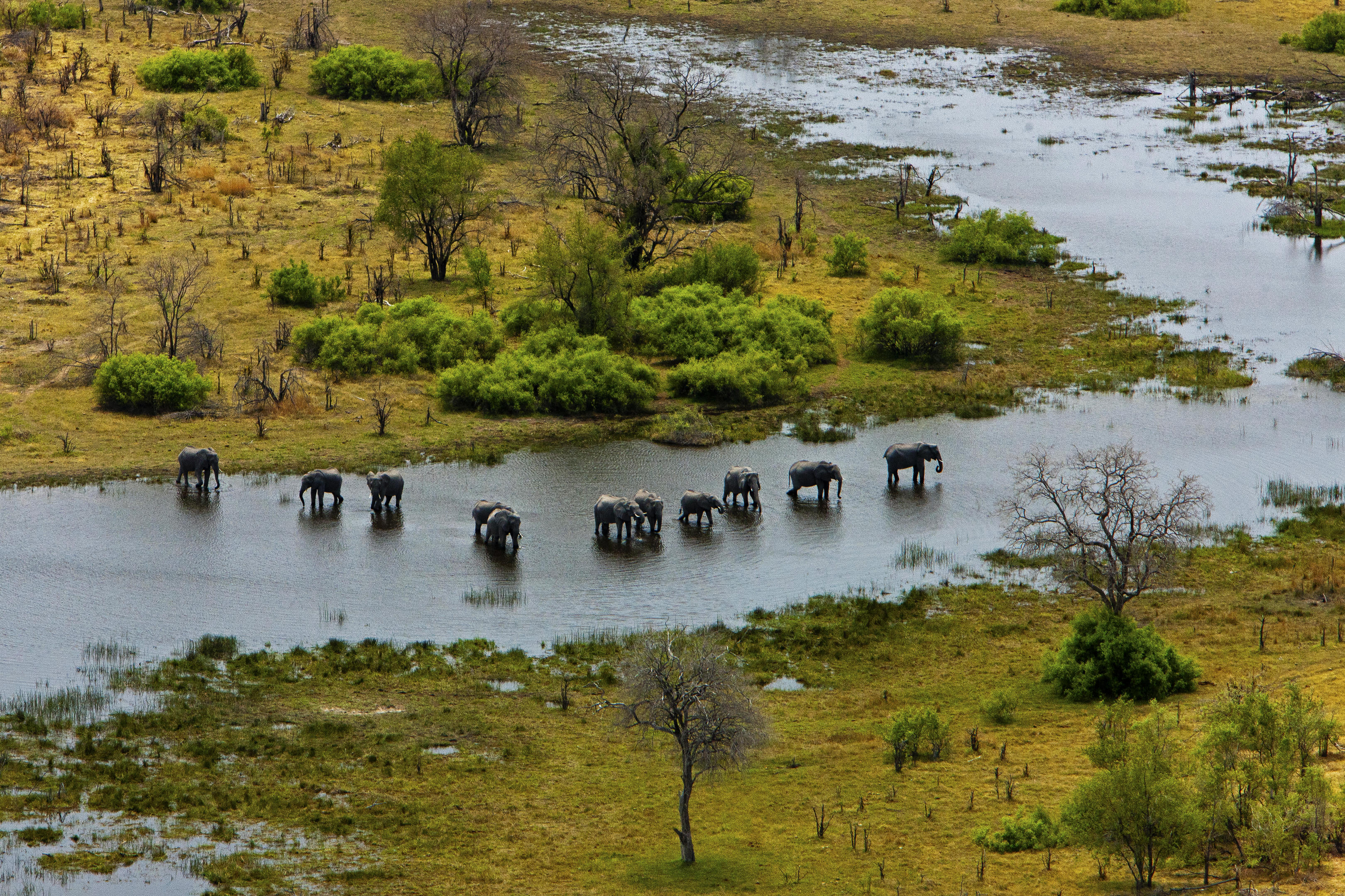 Makgadikgadi Salt Pans & Bush Safari