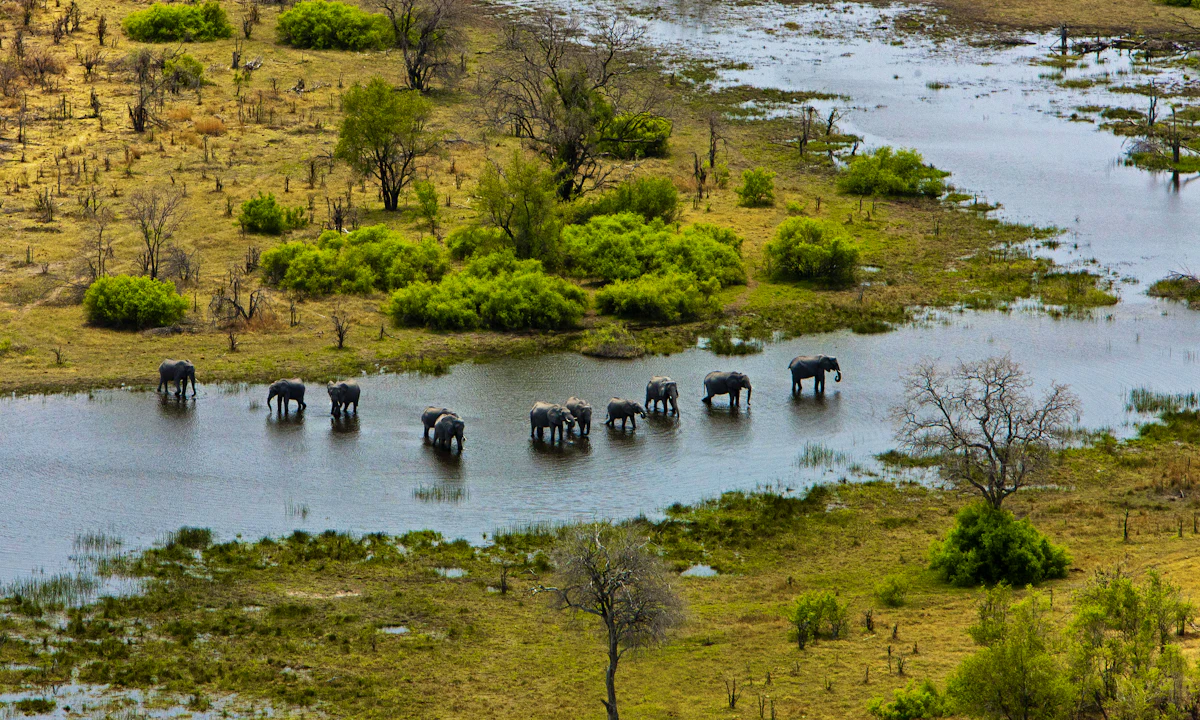 A luxury safari camp in a remote Botswana landscape