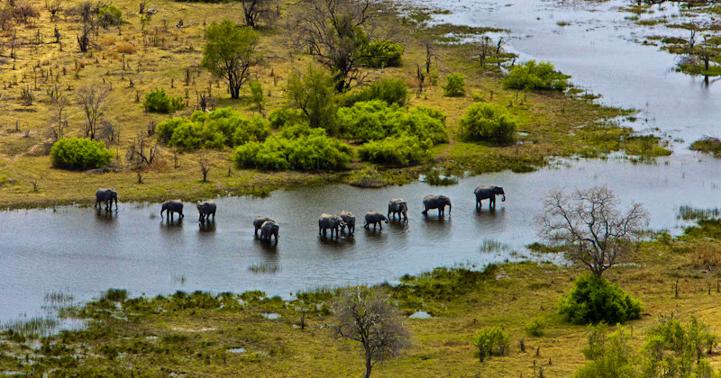 Luxury Makgadikgadi Salt Pans & Bush Safari