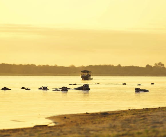 Hippos and boat on river at Selous Game Reserve, Tanzania