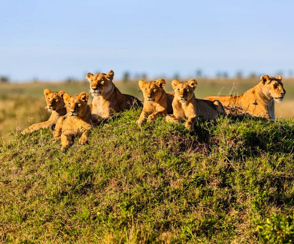 Serengeti River Camp
