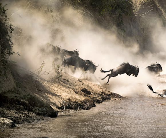 Serengeti River Camp