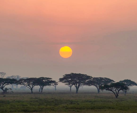 Serengeti Serena Safari Lodge