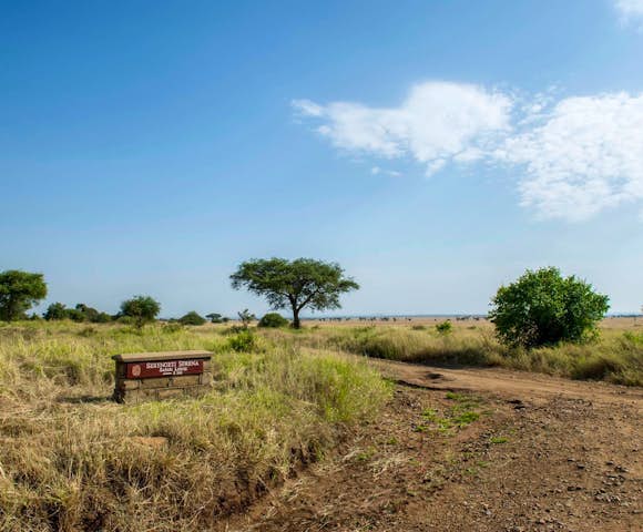 Serengeti Serena Safari Lodge