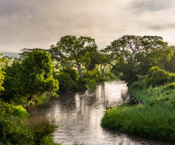 Singita Faru Faru Lodge