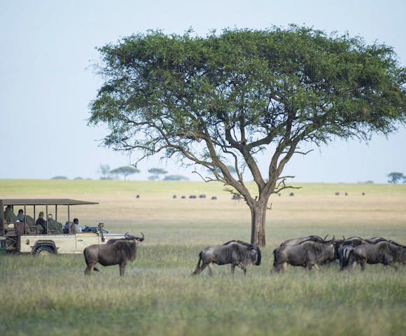 Singita Faru Faru Lodge