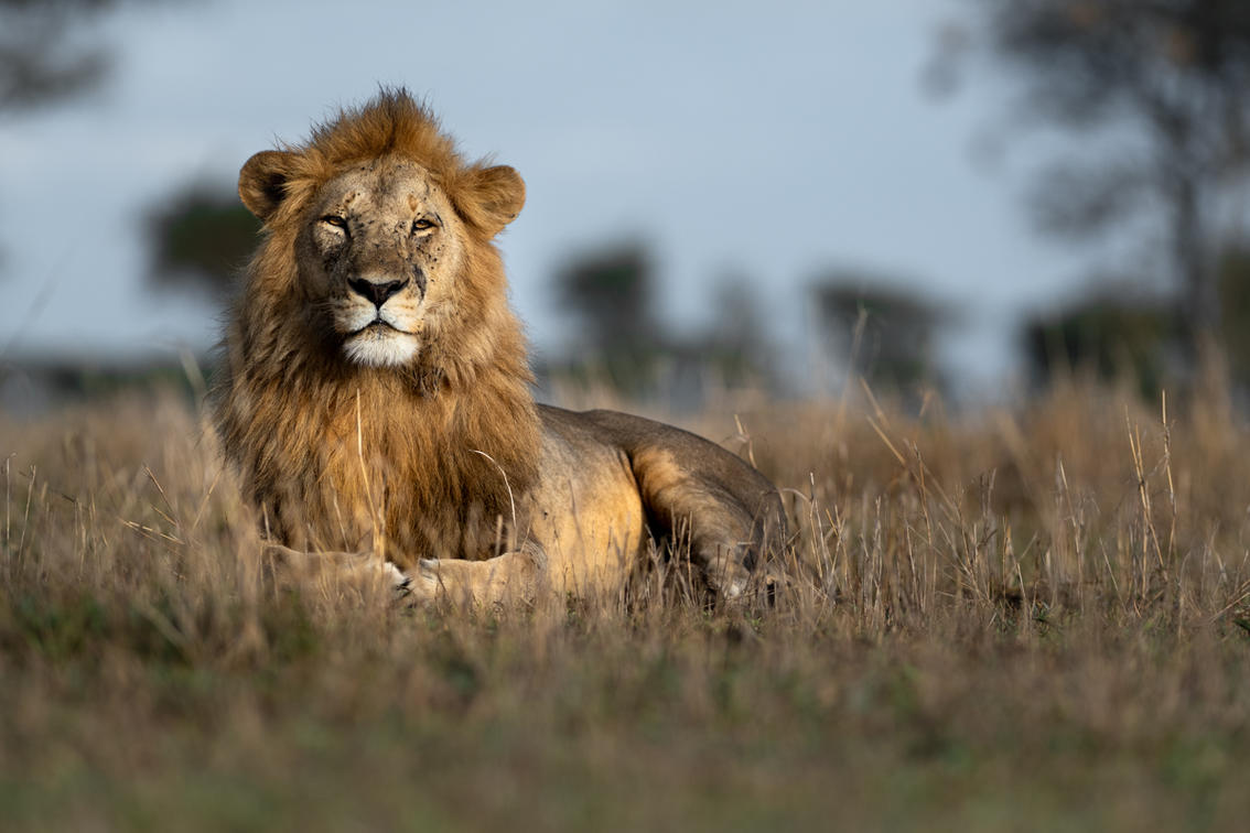 Exclusive East Africa