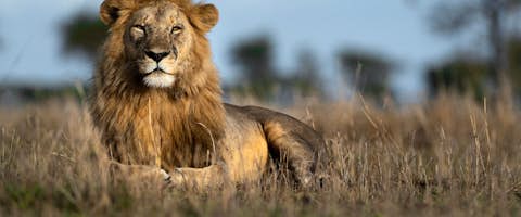 Exclusive East Africa