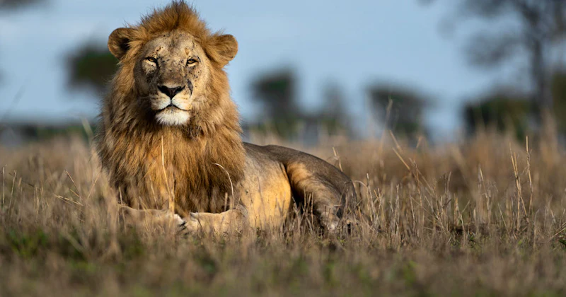 Exclusive East Africa