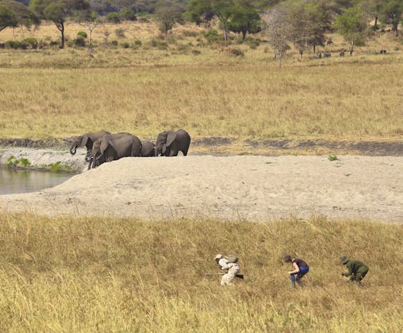 Tarangire National Park