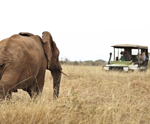 Tarangire National Park