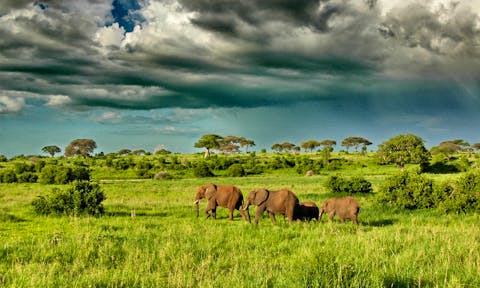 Tarangire National Park
