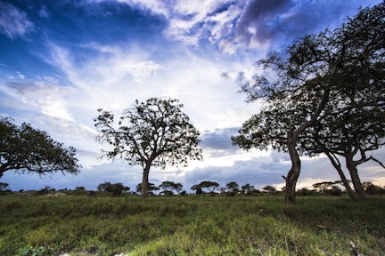 Tarangire National Park
