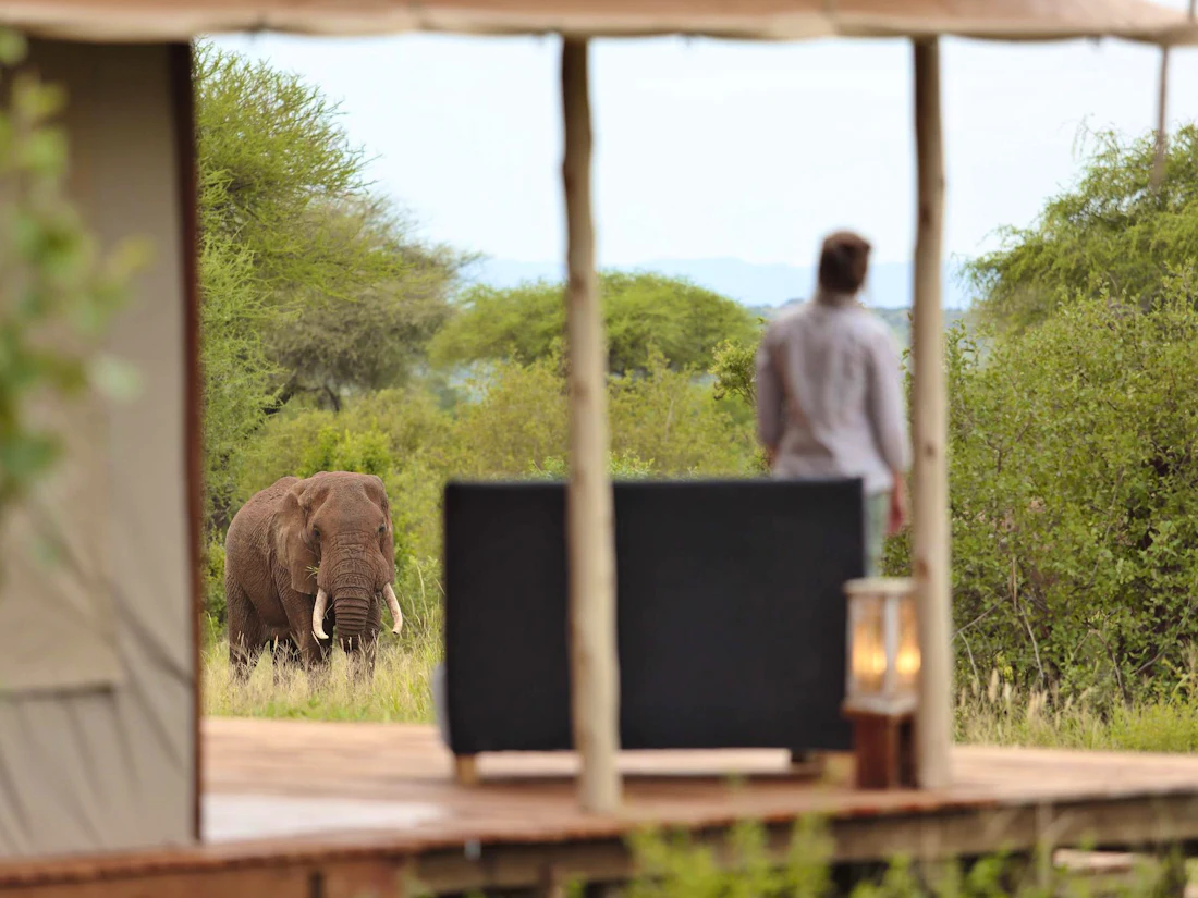 Tarangire Ndovu Tented Lodge, Tarangire National Park