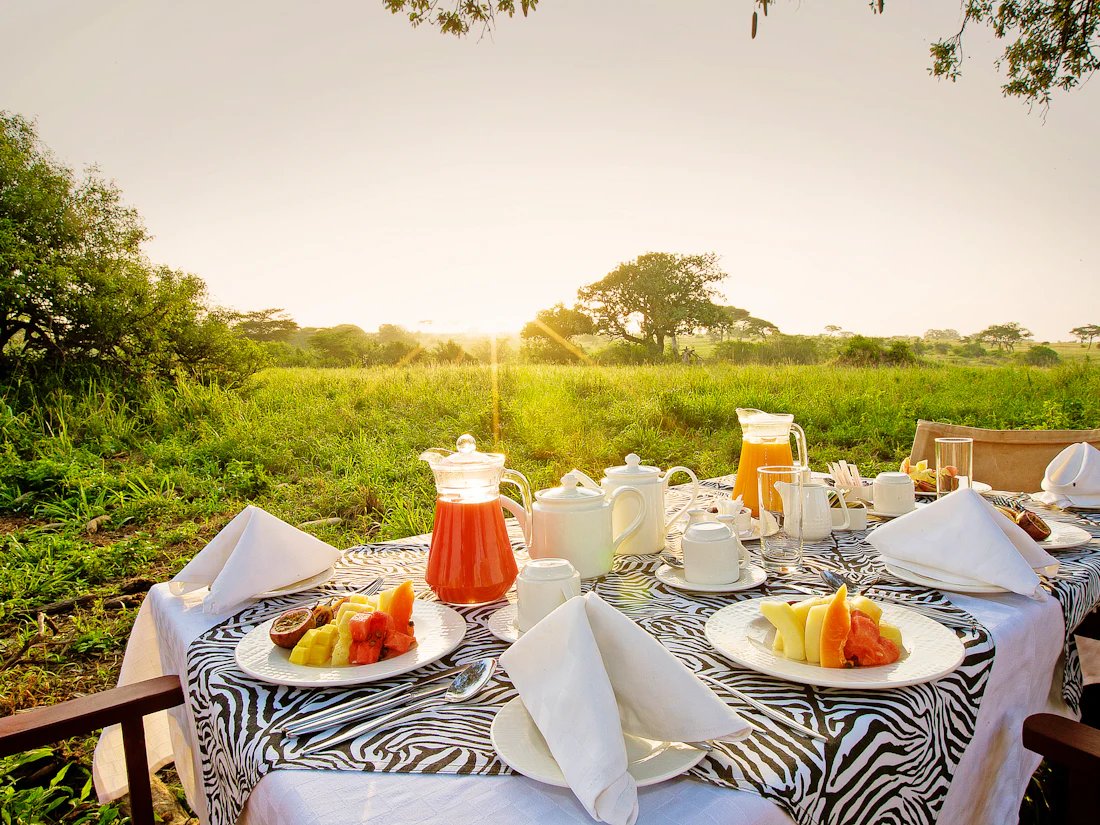 Tarangire Sopa Lodge, Tarangire National Park