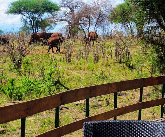 Tarangire Sopa Lodge