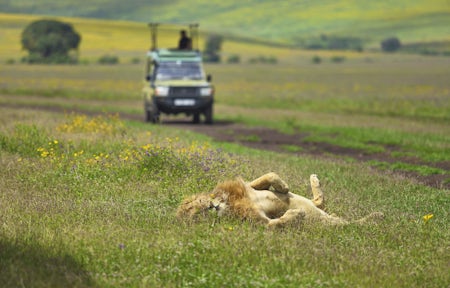 Ngorongoro Crater