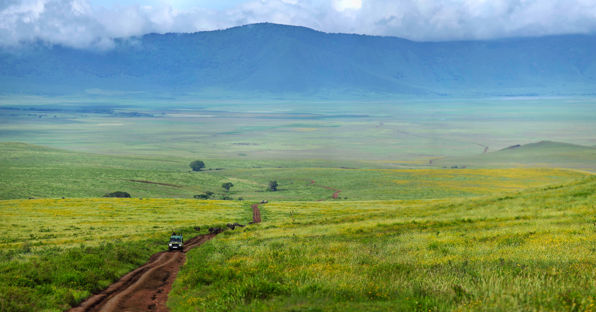 Panoramic view across the Ngorongoro Crater