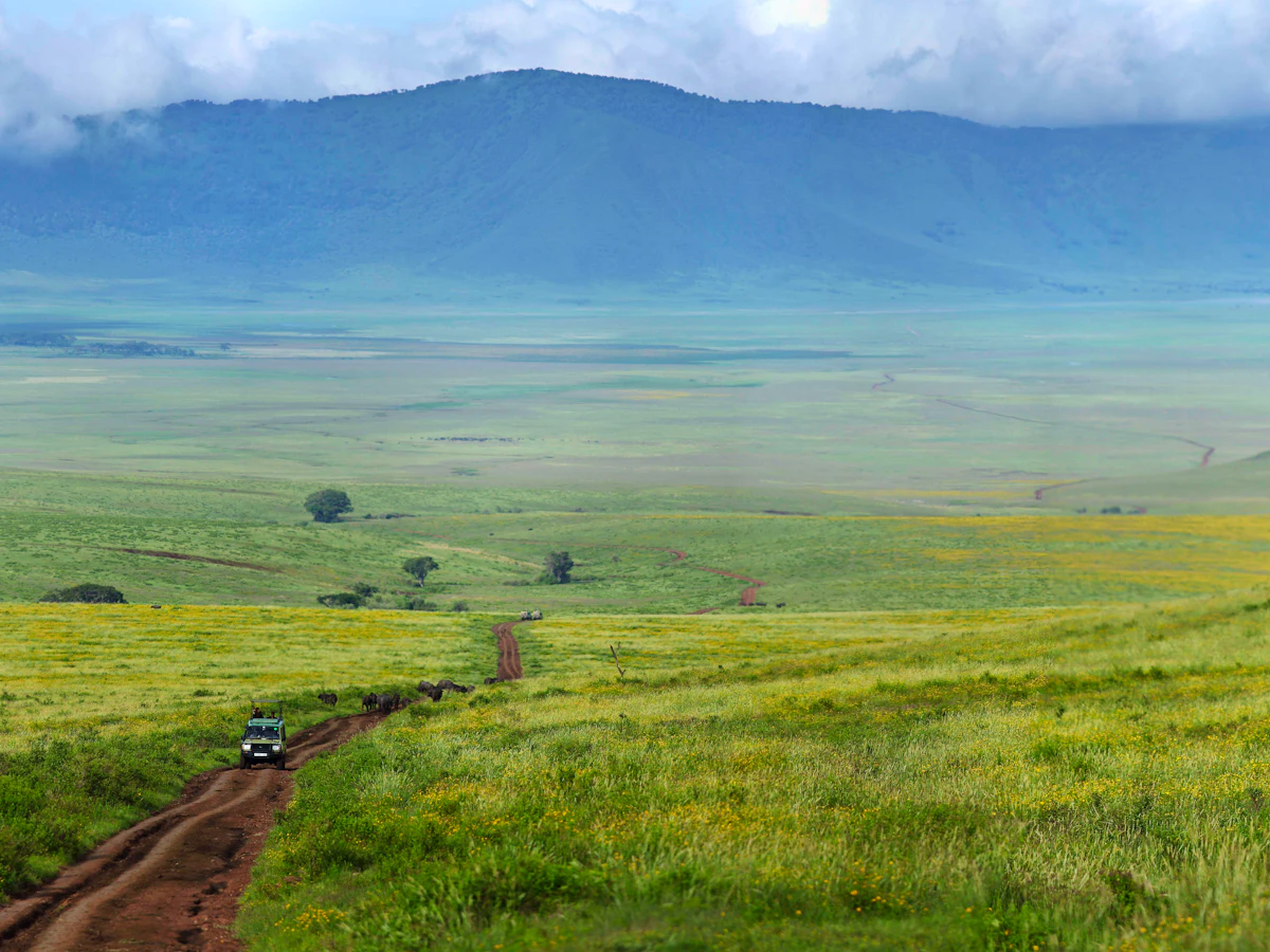 View across the Ngorongoro Crater from the forested rim in Tanzania