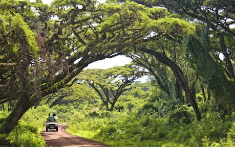 Ngorongoro Crater