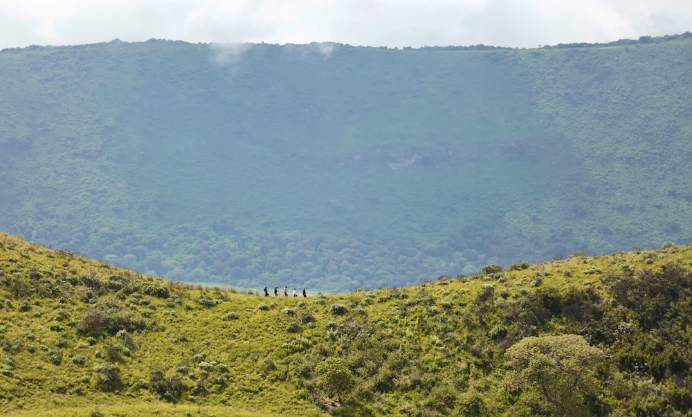Green mountain forest in the Ngorongoro Conservation Area
