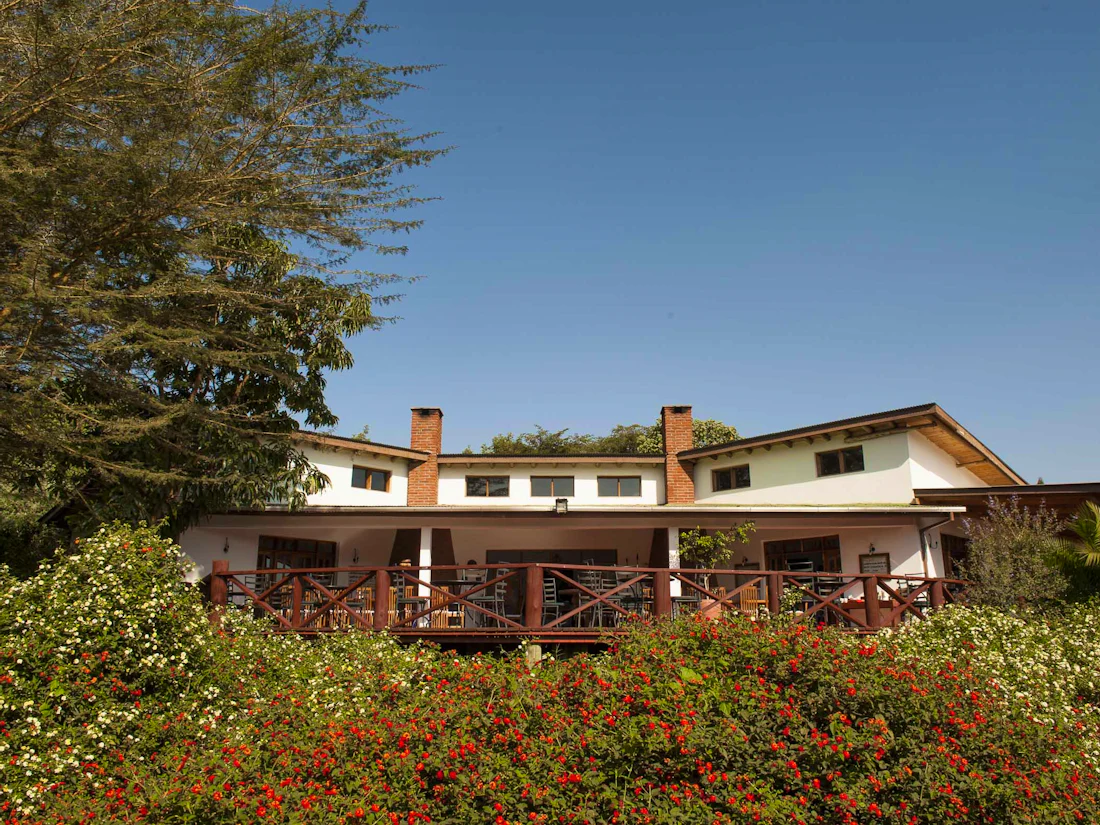 Wildlife and open plains in the Serengeti