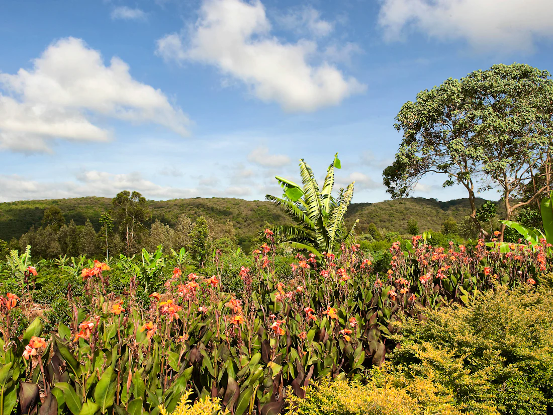 Tloma Lodge, Karatu, Ngorongoro Highlands