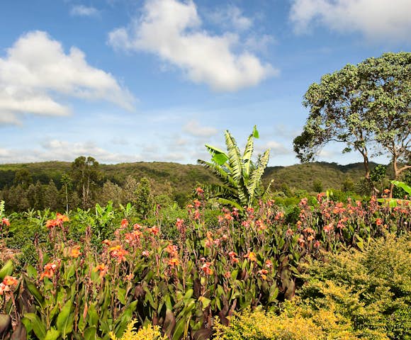 Tloma Lodge