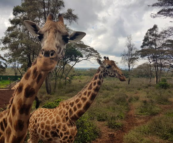 Lewa Conservancy