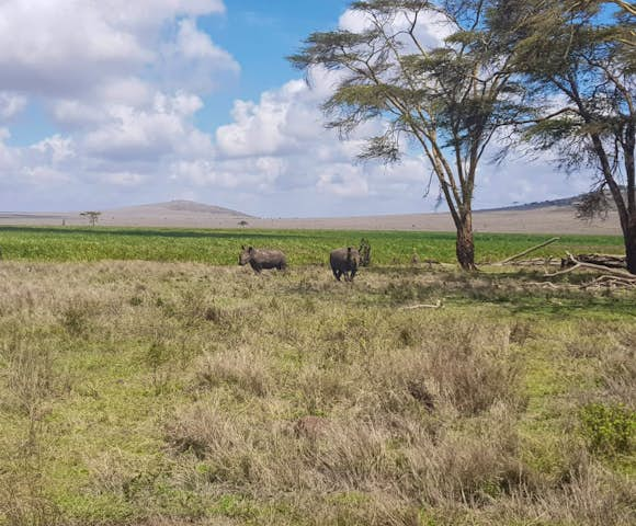 Lewa Conservancy