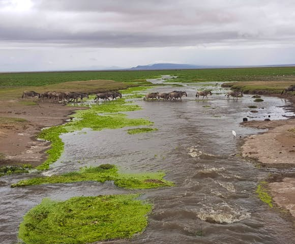 Lewa Conservancy