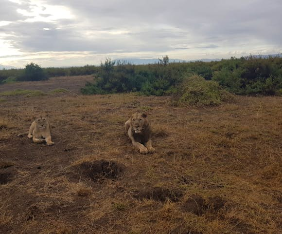 Lewa Conservancy