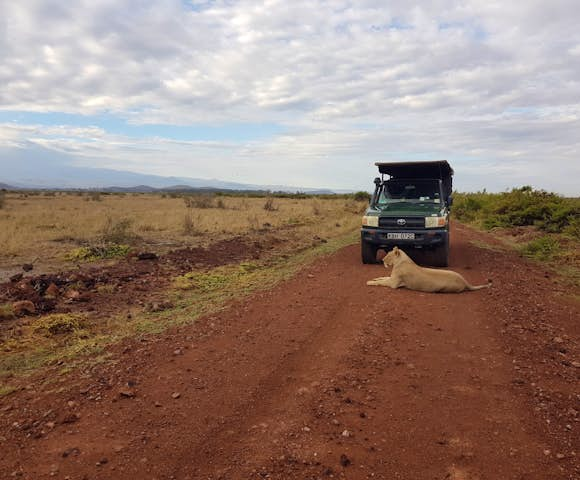 Lewa Conservancy