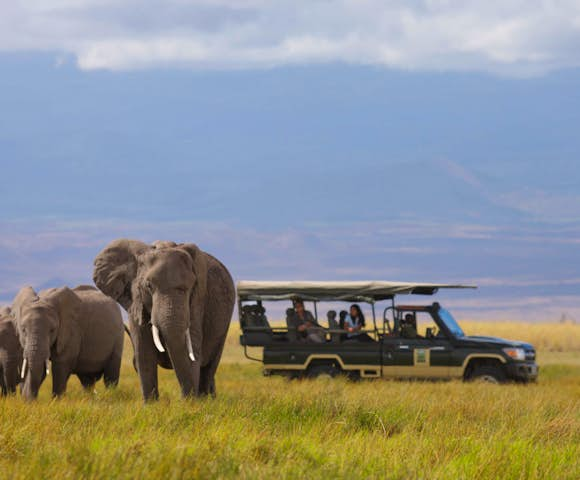 Safaris in Tanzania