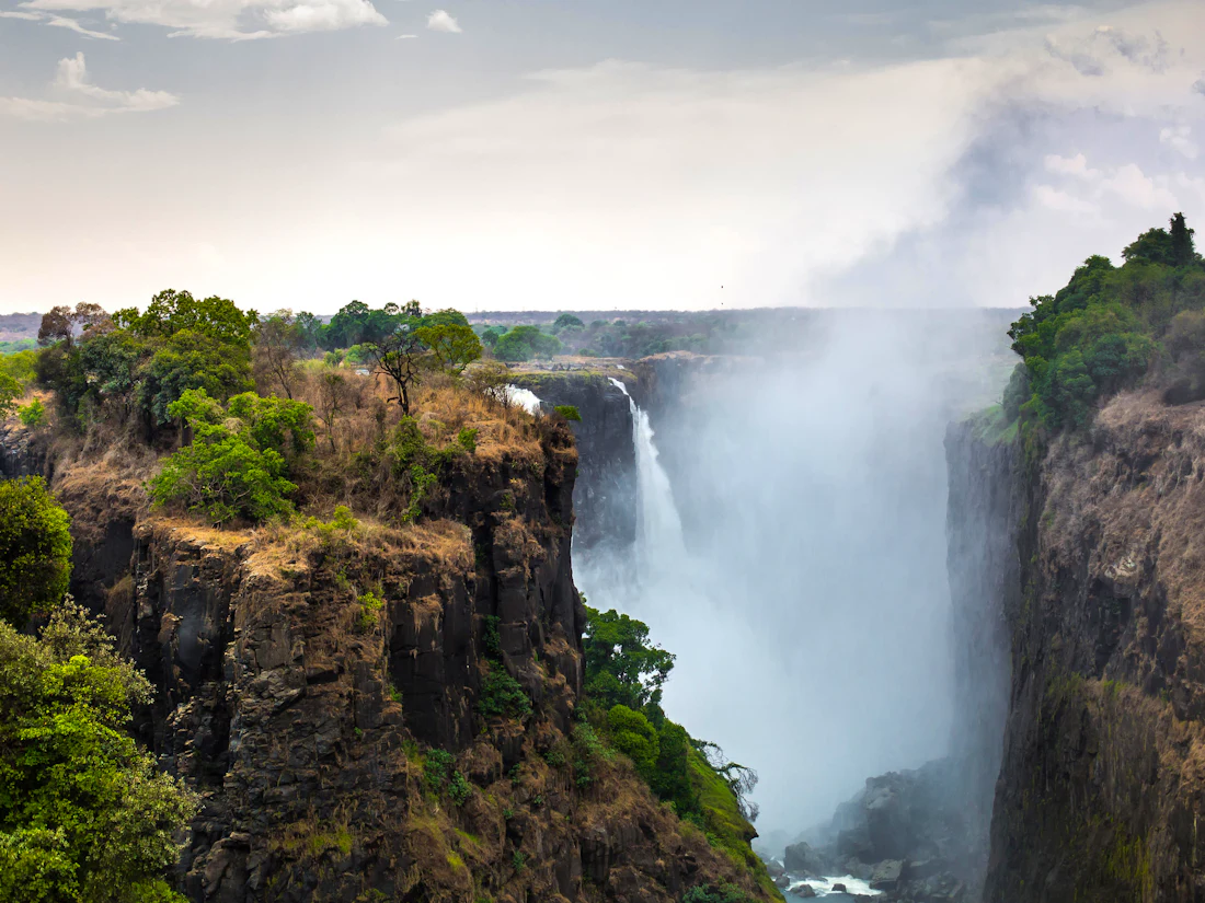 A river island on the upper Zambezi