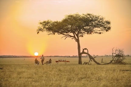 Safaris in Tanzania