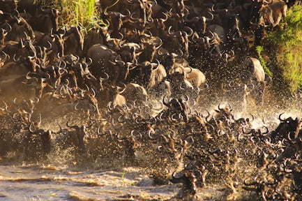 Serengeti National Park